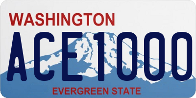 WA license plate ACE1000