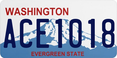 WA license plate ACE1018