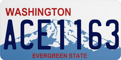 WA license plate ACE1163