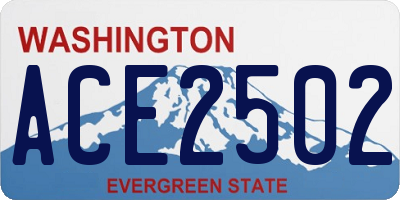 WA license plate ACE2502