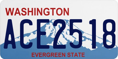 WA license plate ACE2518