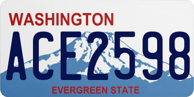 WA license plate ACE2598