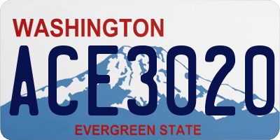 WA license plate ACE3020