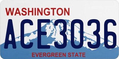 WA license plate ACE3036