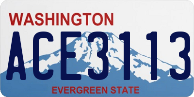 WA license plate ACE3113