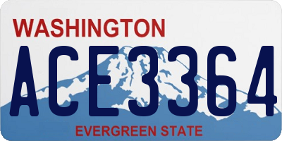 WA license plate ACE3364