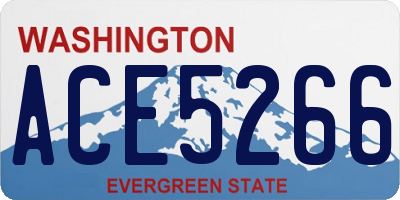 WA license plate ACE5266