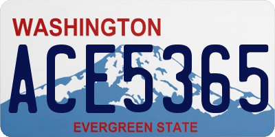 WA license plate ACE5365