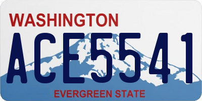 WA license plate ACE5541