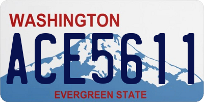 WA license plate ACE5611