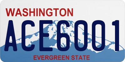 WA license plate ACE6001