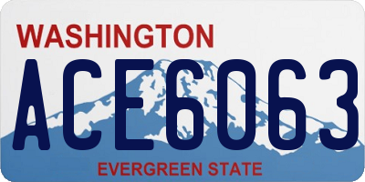 WA license plate ACE6063
