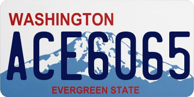 WA license plate ACE6065