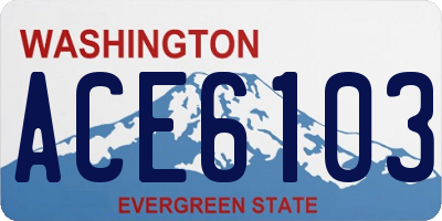 WA license plate ACE6103