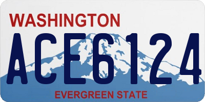 WA license plate ACE6124