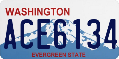 WA license plate ACE6134