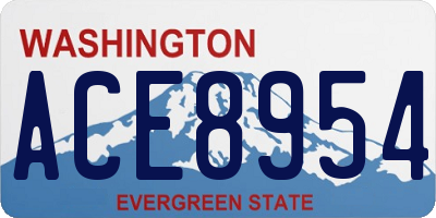 WA license plate ACE8954