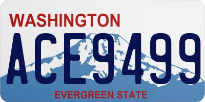 WA license plate ACE9499