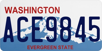 WA license plate ACE9845