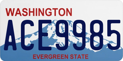 WA license plate ACE9985