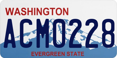 WA license plate ACM0228