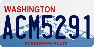 WA license plate ACM5291