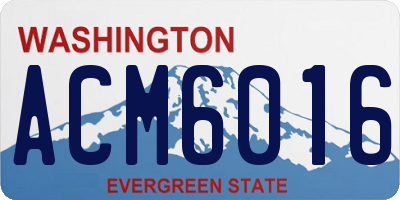 WA license plate ACM6016