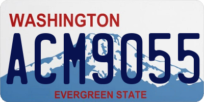 WA license plate ACM9055
