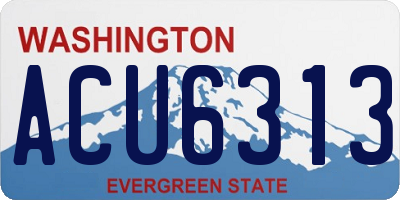 WA license plate ACU6313