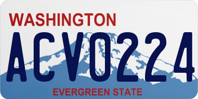 WA license plate ACV0224