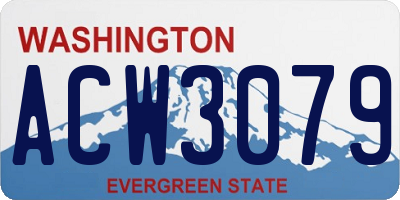 WA license plate ACW3079