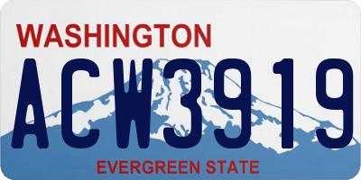 WA license plate ACW3919