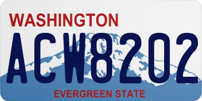 WA license plate ACW8202
