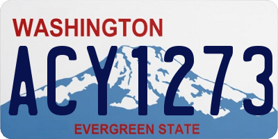 WA license plate ACY1273