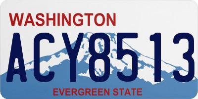 WA license plate ACY8513