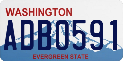 WA license plate ADB0591