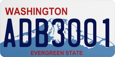 WA license plate ADB3001
