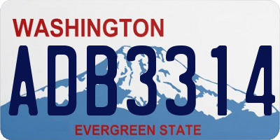 WA license plate ADB3314