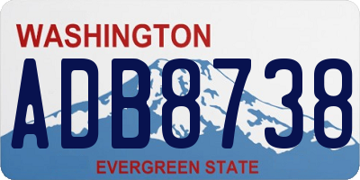 WA license plate ADB8738