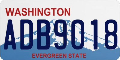 WA license plate ADB9018