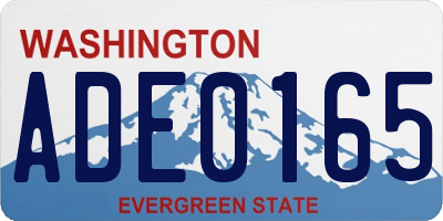 WA license plate ADE0165