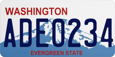 WA license plate ADE0234