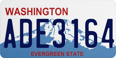 WA license plate ADE3164