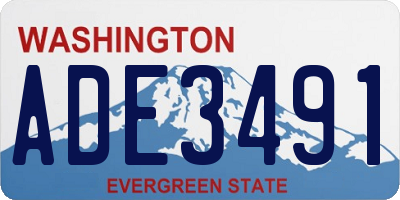 WA license plate ADE3491