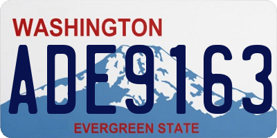 WA license plate ADE9163