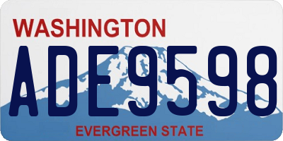 WA license plate ADE9598