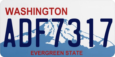 WA license plate ADF7317