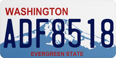 WA license plate ADF8518