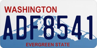 WA license plate ADF8541