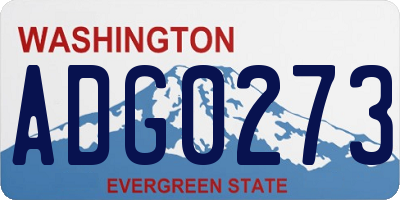 WA license plate ADG0273